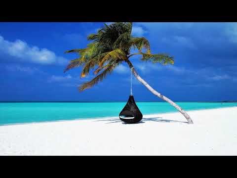 Caribbean Jazz Project feat. MASTER DAVE SAMUELS "Naima"