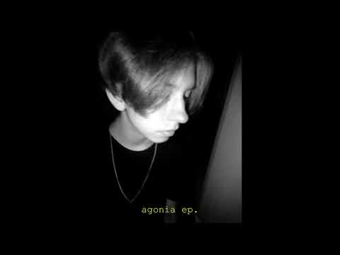 real/sajko - żyć jak w snach