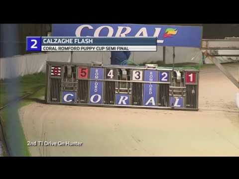 2018 ROMFORD PUPPY CUP - 1ST SEMI - T2 CALZAGHE FLASH