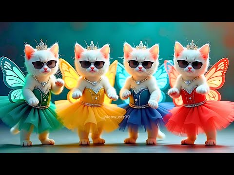 बिल्ली डांस | Cutest Cat videos funny dance🤣💃Videos for cats #funny #dancingcat #cat @Meow_cat99