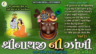 Shrinathji Ni Zankhi-Nonstop Satsang Kirtan Part 12 song artwork