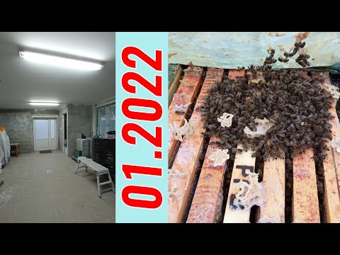 #88 Kontrola rodzin. Jak mam urządzić pracownię?