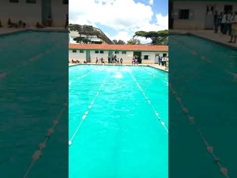 Egerton swiming competition