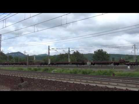 CAIMANO IN TRANSITO CON CARRI PIANALE ARQUATA SCRIVIA. (AL) 4 - 6 - 2016