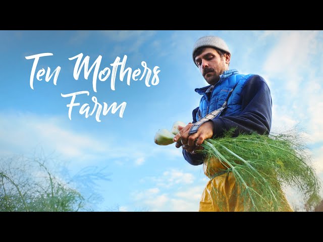 Video Pronunciation of CSA in English Video Pronunciation of CSA in English