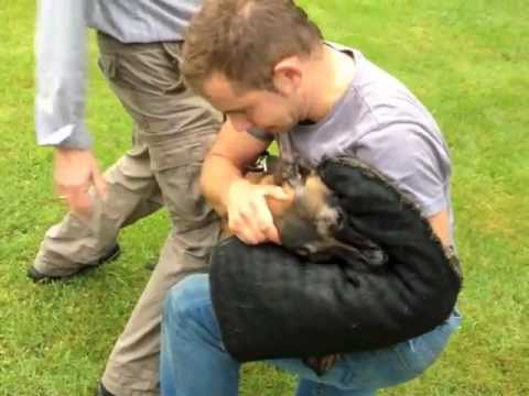 Gavin (Dhr. J. van der Veen) 5 months old