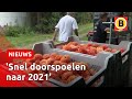 Lege zondag in Zundert door afgelast Bloemencorso | Omroep Brabant