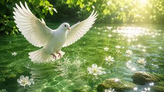 LISTEN FOR 20 MINUTES ~ Holy Spirit Brings Healing, Peace & Miracles into Your Life Instantly
