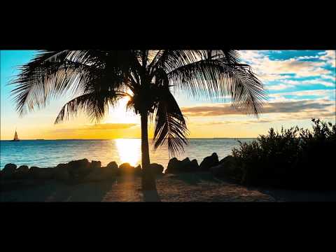 Ka Ta'e Fe'unga E Po Koee - UNALOTO NETANE.- ( Tongan Love Song)