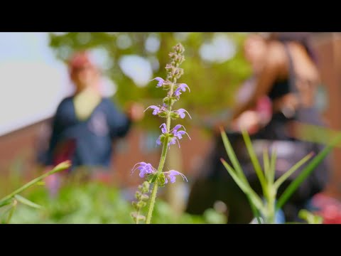 Litter Pickin' Punks