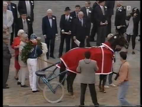 Hunyady-Gedenkrennen 1993 - Das Rennen