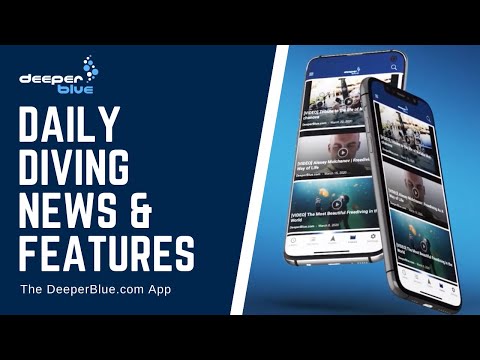 DeeperBlue.com Video