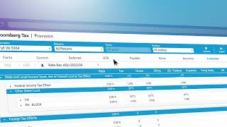 Bloomberg Tax Provision Overview