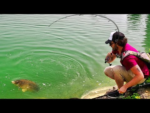 Carpa a SPINNING alla Riserva Laghetto Azzurro