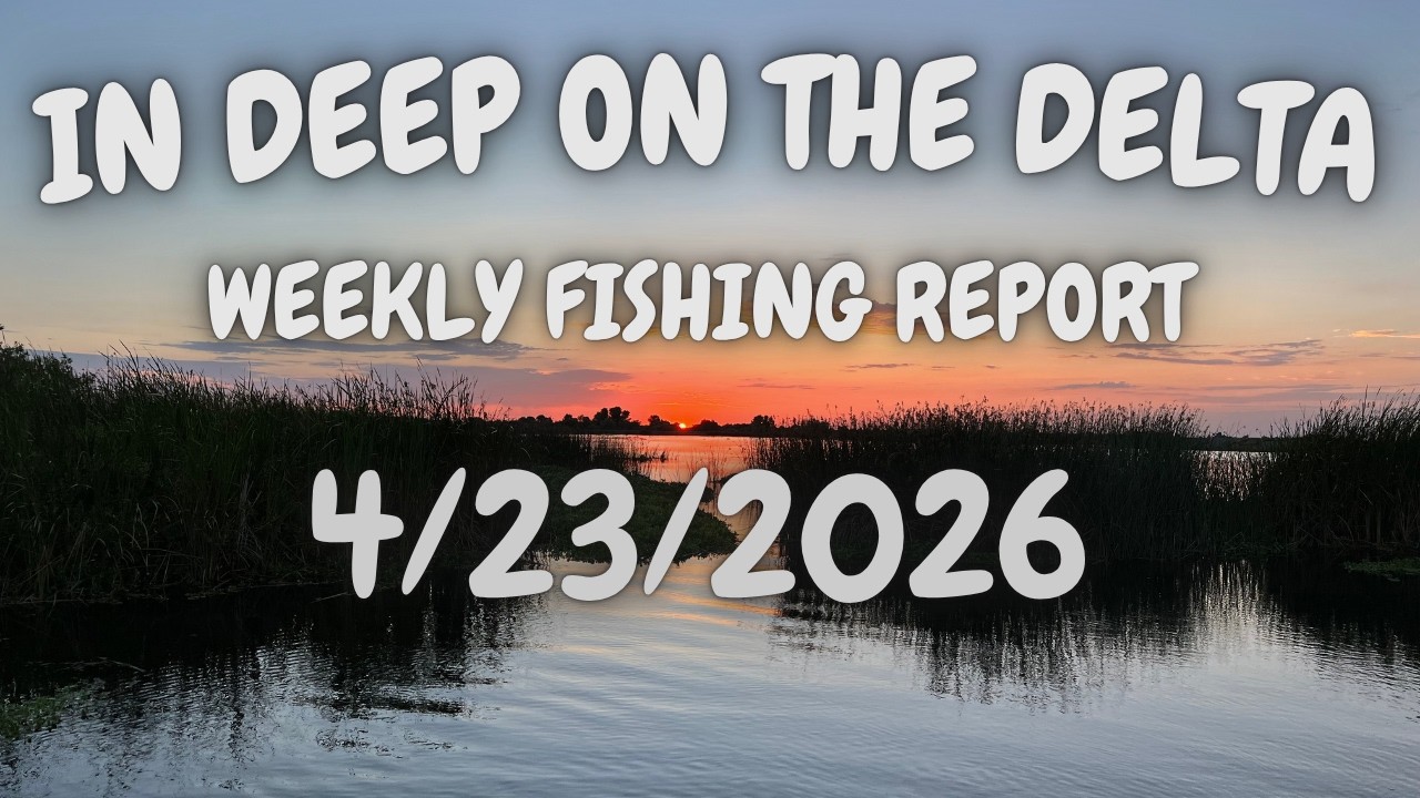 The Weekly In Deep On The Delta Fishing Report For 4?23/2026.
