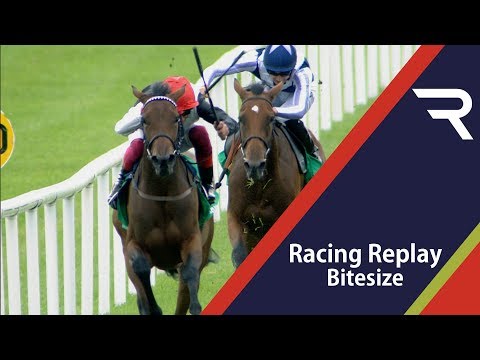 2019 Irish Oaks Day - Racing Replay - Racing TV