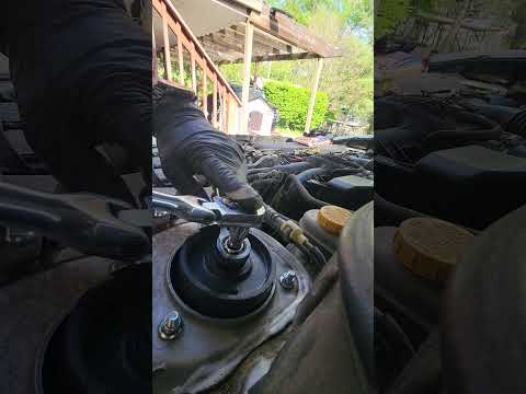 Torque strut mounting nut.