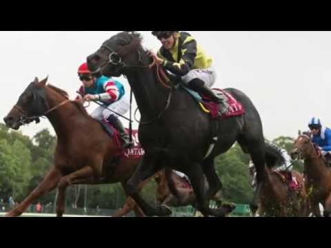 Goldream - Oasis Dream & Clizia