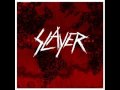 09. Slayer - Psychopathy Red 