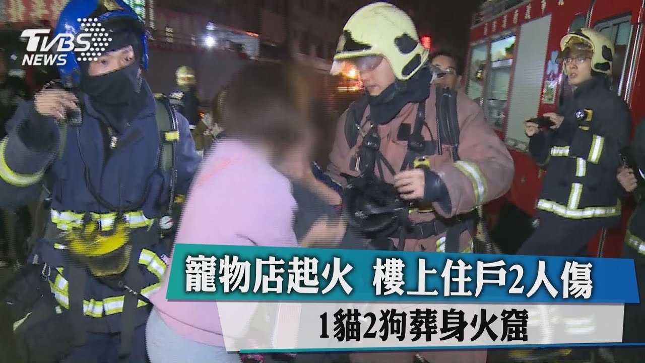 寵物店起火!樓上住戶2人傷 1貓2狗葬身火窟