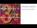 THE DREAM SYNDICATE - Here On Earth As Well