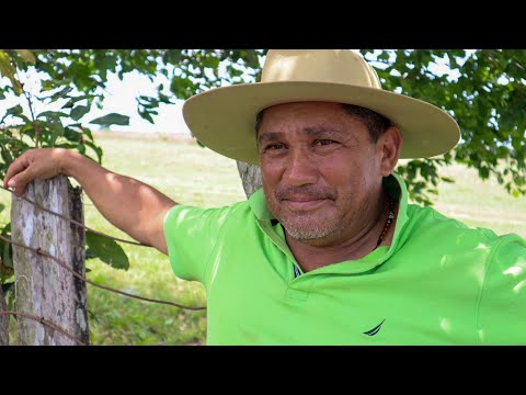 Villamil Torres "El Azulejo del Llano" - Mi Patrona