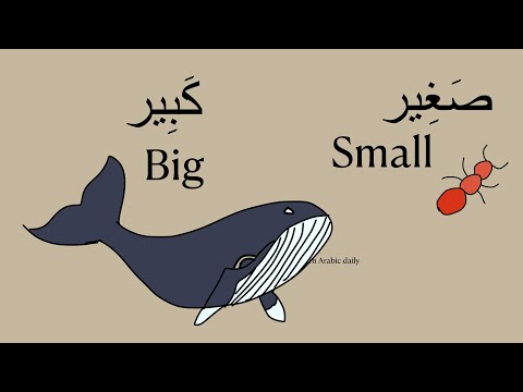 Simple opposite words in Arabic for kids and beginners -Learn new words and build vocabulary