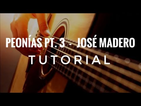 Peonías Pt. 3 - Jose Madero