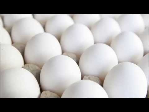 Dan Ryckert Makes Eggs