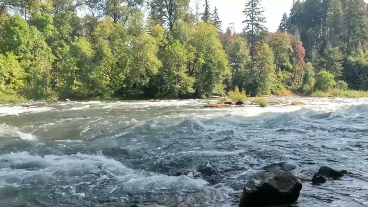 Relaxing Water Sounds