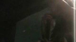 daughters - i dont give a shit about wood (8 of 9)