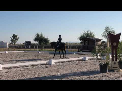 Campeonato Nacional Dressage - Nicole e Habil de Sena
