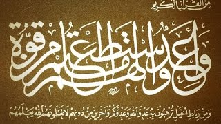 آيات الأحكام – قوله تعالى(وَأَعِدُّوا لَهُمْ مَا اسْتَطَعْتُمْ مِنْ قُوَّةٍ) الشيخ مصطفى العدوي