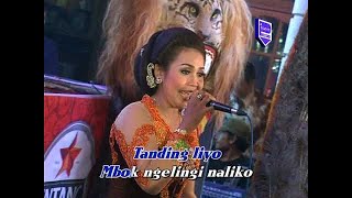 Download lagu Sesingitan - Gubuk Asmoro - Iin - Hartatik Cilik - Live Show Tayub Setyo Pradonggo Tulungagung mp3 Download lagu Sesingitan - Gubuk Asmoro - Iin - Hartatik Cilik - Live Show Tayub Setyo Pradonggo Tulungagung mp3