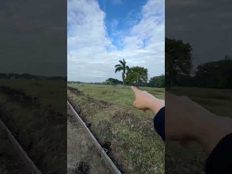 Se vende Lote en Ginebra Valle