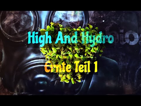 Folge 20 - Ernte Teil 1 - So trockne ich