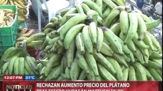 Rechazan aumento precio plátano tras efecto huracán Matthew en RD Rechazan aumento precio plátano tras efecto huracán Matthew en RD