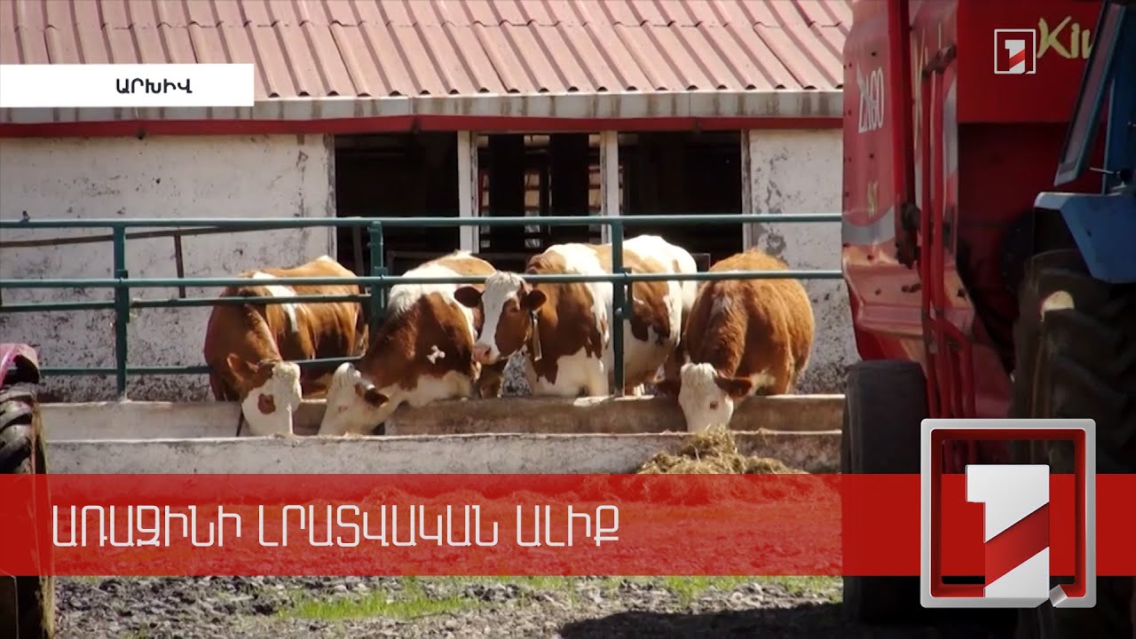 Թռչնագրիպն ու դաբաղը ՀՀ-ում կանխելու համար որոշ երկրներից մսի ներմուծումը ՍԱՏՄ-ն արգելել է