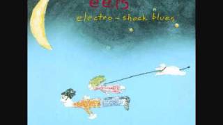 Eels - My Descent Into Madness