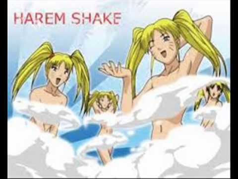Harlem Shake-''Harem Szwejk''- Po Polsku