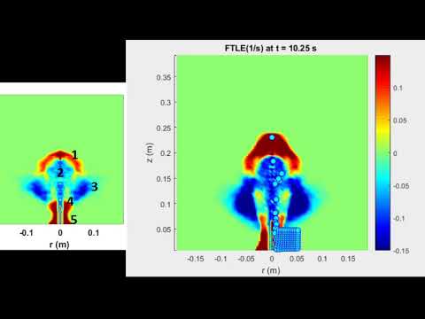 Barrere - Lagrangian coherent structures organizing the flow of turbulent fountains in stratified me