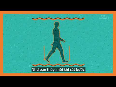 Tại sao con người không có đuôi