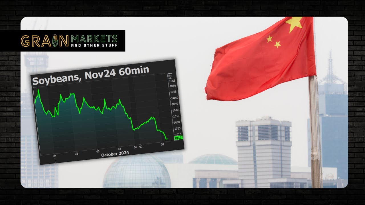 Soybeans Tumble: China Stimulus Lacks Details
