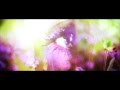 Exit Calm - Promise 