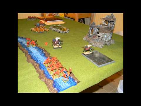 117 Lizardmen vs Dark Elves  Warhammer Fantasy Battle Report