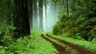 James Asher - Green / Meditation music