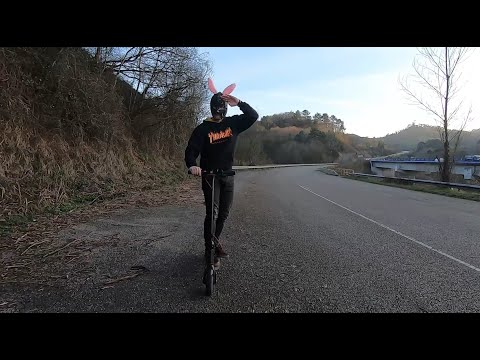 Macho de feria - Pijo reciclao