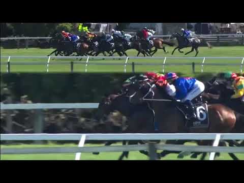 Arrowfield Stud Guineas (G2) Mana Nui