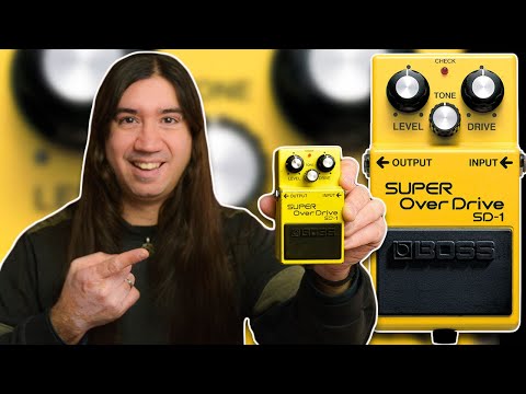 THIS is Why EVERYONE LOVES the BOSS SD1 Super OverDrive Pedal | 4 Ways to make it sound AWESOME!!