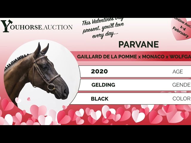 Parvane showvideo